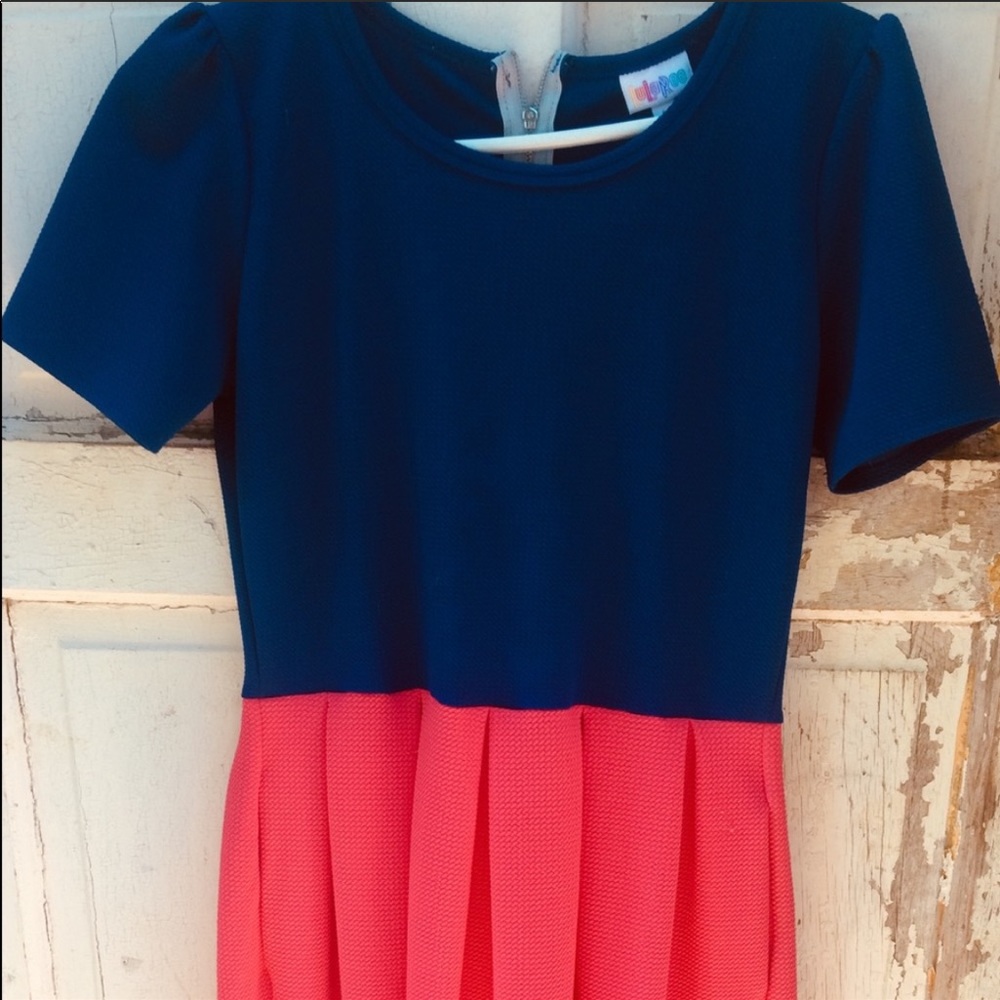 Hot Pink and Blue Lularoe Amelia Dress